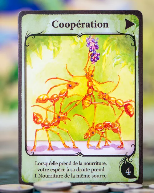 Test-jeu-Evolution-carte-6